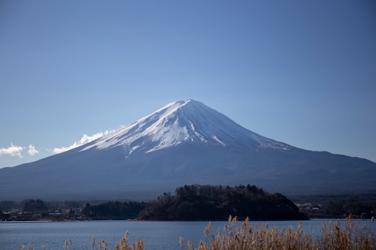 photo of Oishi Park Stratovolcano near Mt. Fuji