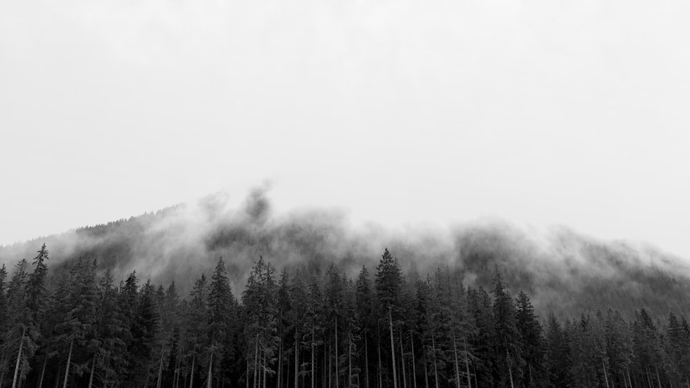fotografia in scala di grigi della montagna