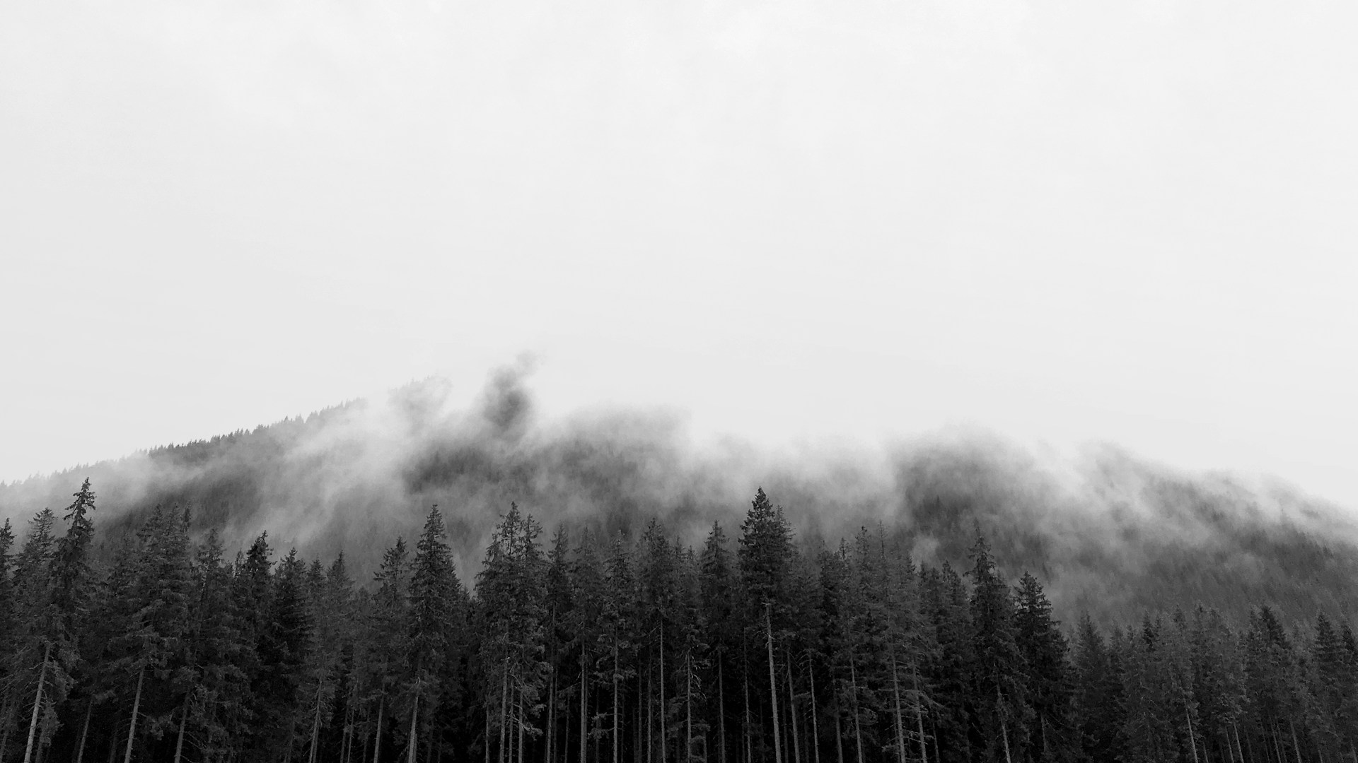 grayscale photography of mountain