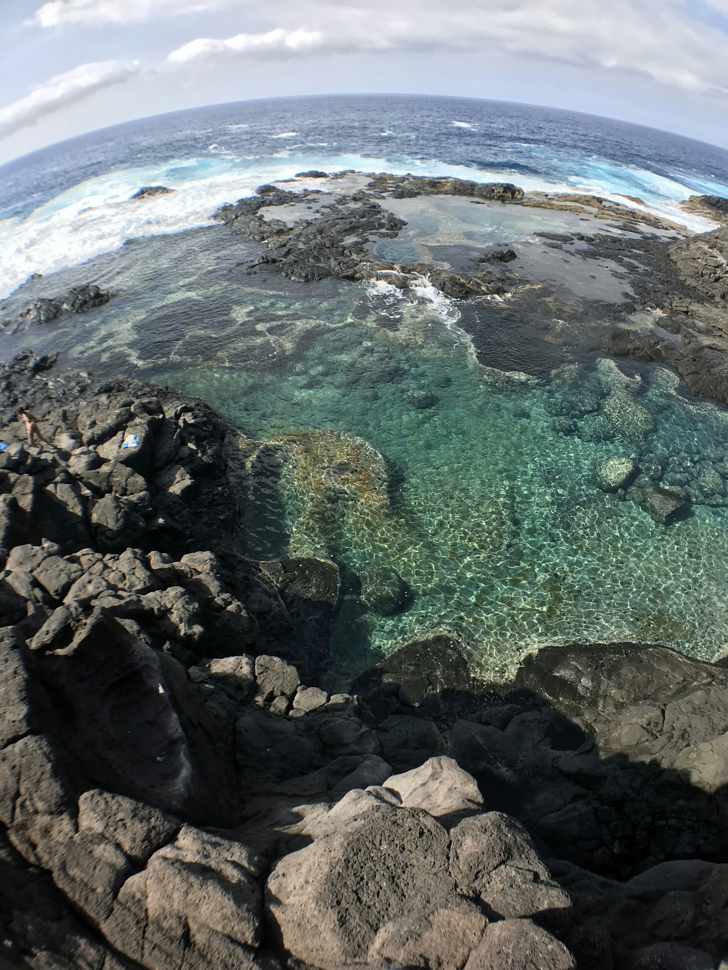 Diverse coral reef in Maui’s Molokini Crater