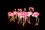 pink flamingo vector art