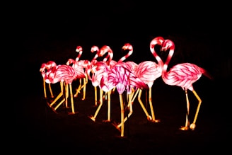Themed flamingos suggesting feeling better with hormone treatment