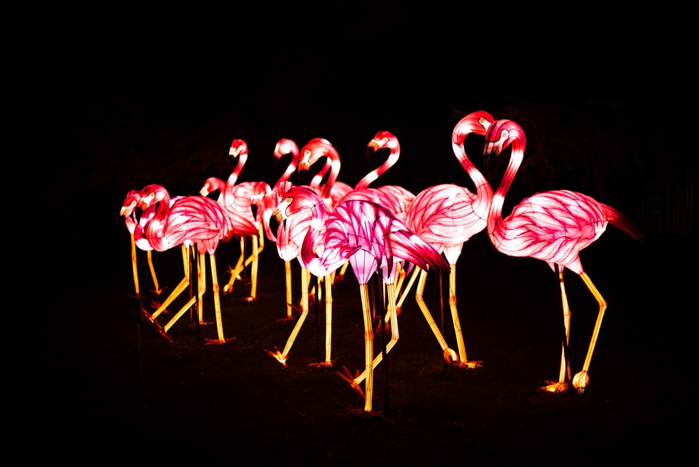 pink flamingo vector art