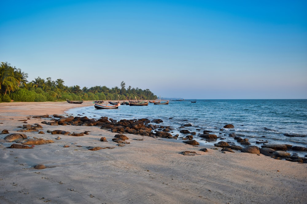 rocky beach during daytime