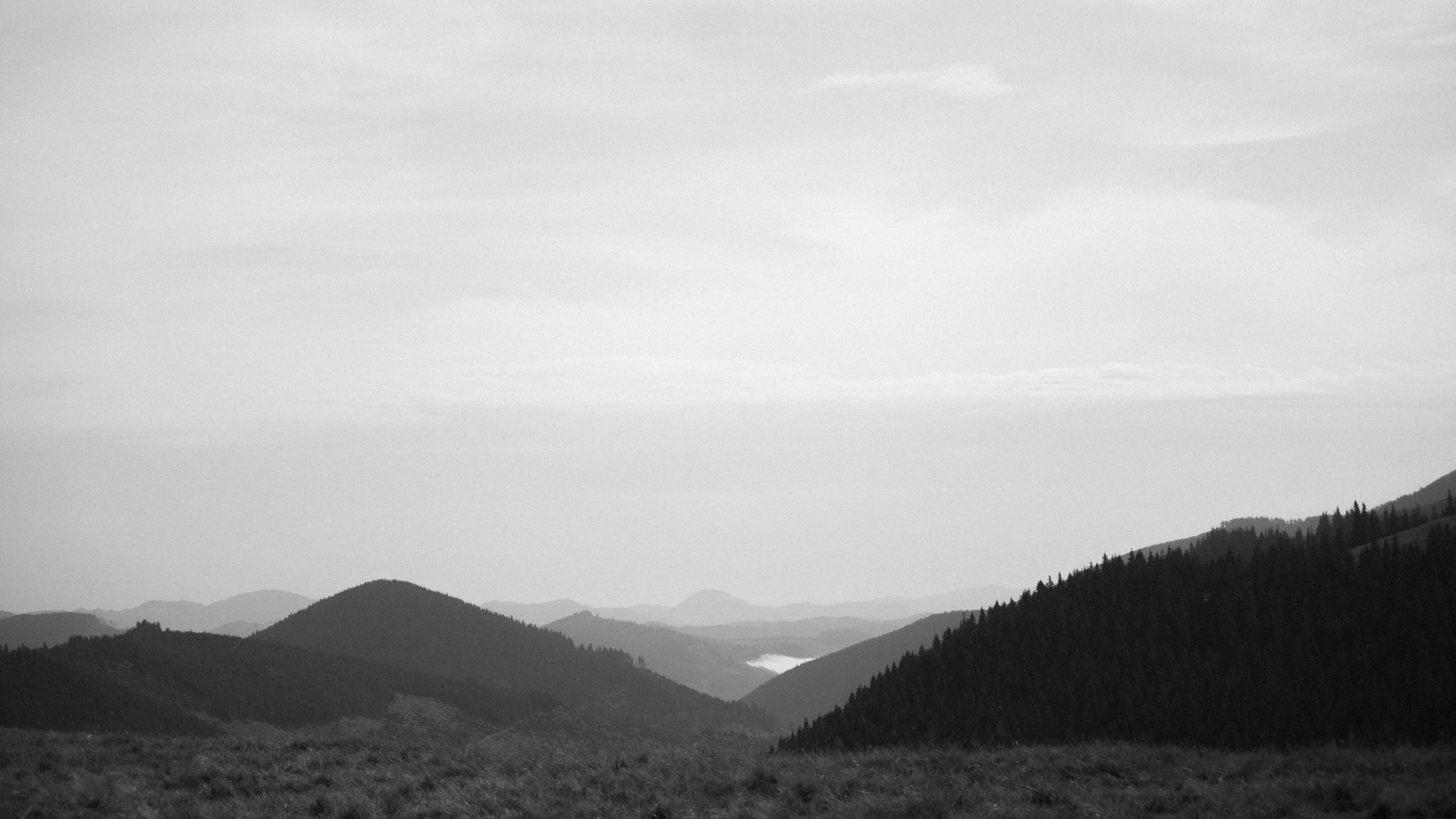 A serene black and white landscape featuring mist rolling over hills, taken early morning with a Ricoh GR camera.