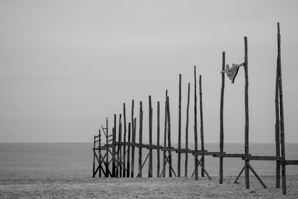 brown wooden post on shore