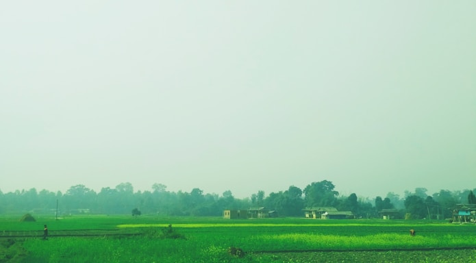 A serene rural landscape with farmers working in lush green fields.