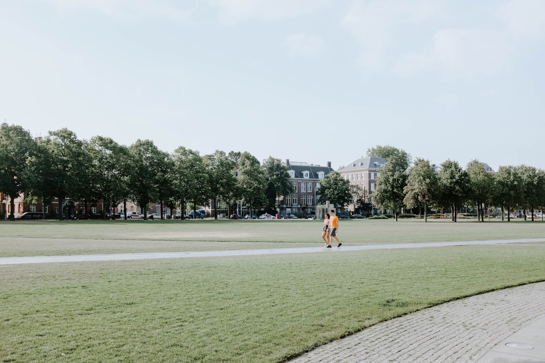 two person walking on park at daytime