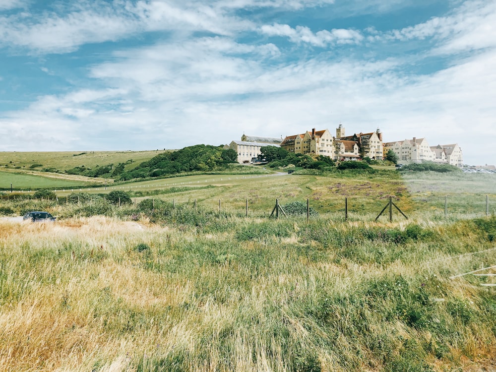 white and brown houses surrounded by green plants