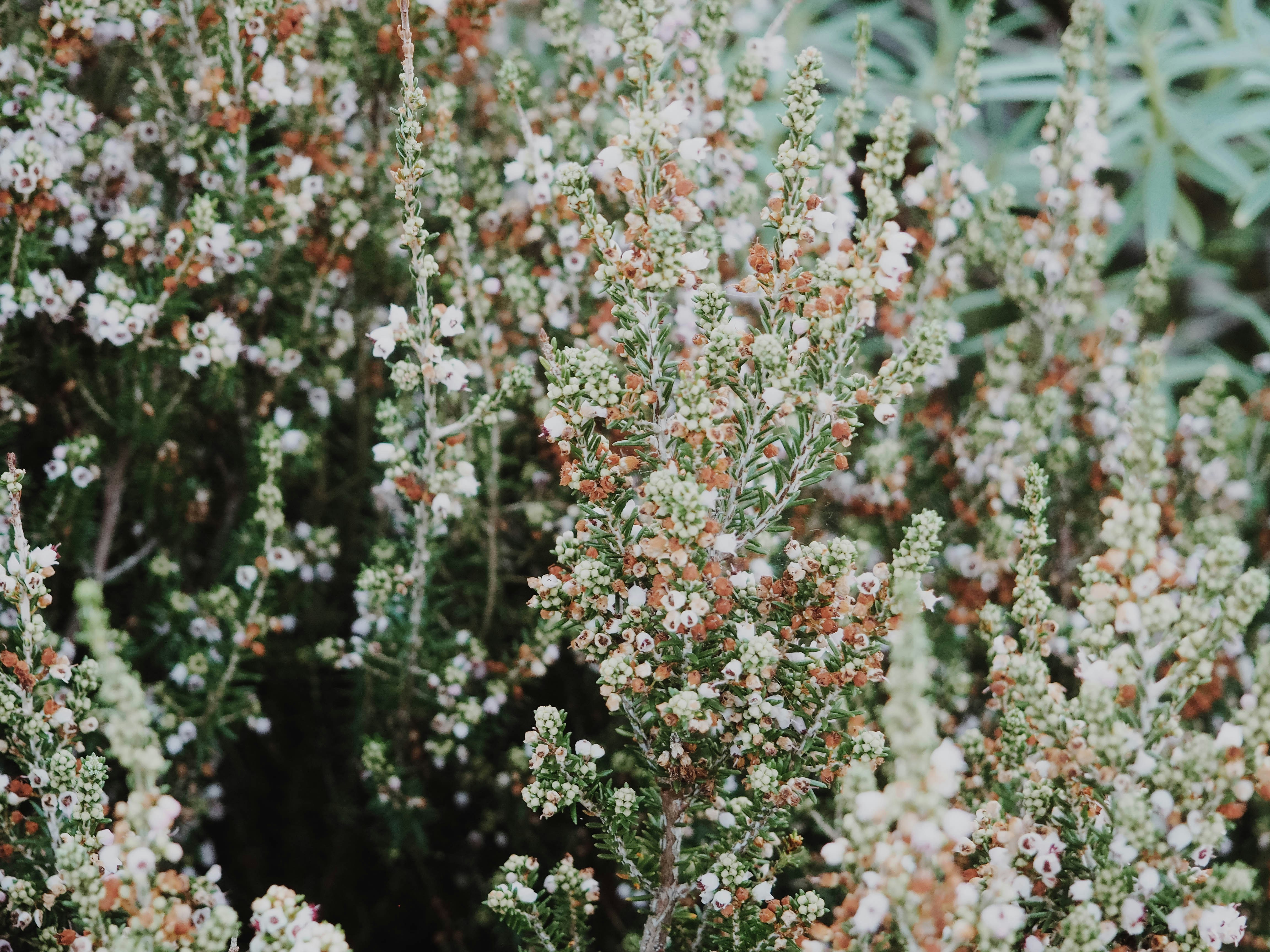 Photo by disguise_truth