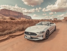 silver Ford Mustang