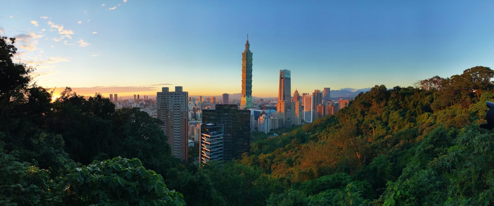 high rise buildings during daytime