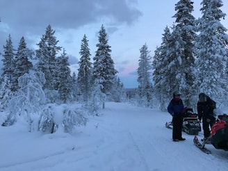 A snowy landscape with tall evergreen trees covered in snow. Two people wearing winter gear stand near snowmobiles, ready for a winter adventure. The sky is overcast, with hints of pink and blue colors peeking through the clouds.