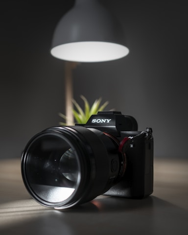 black Sony DSLR camera
