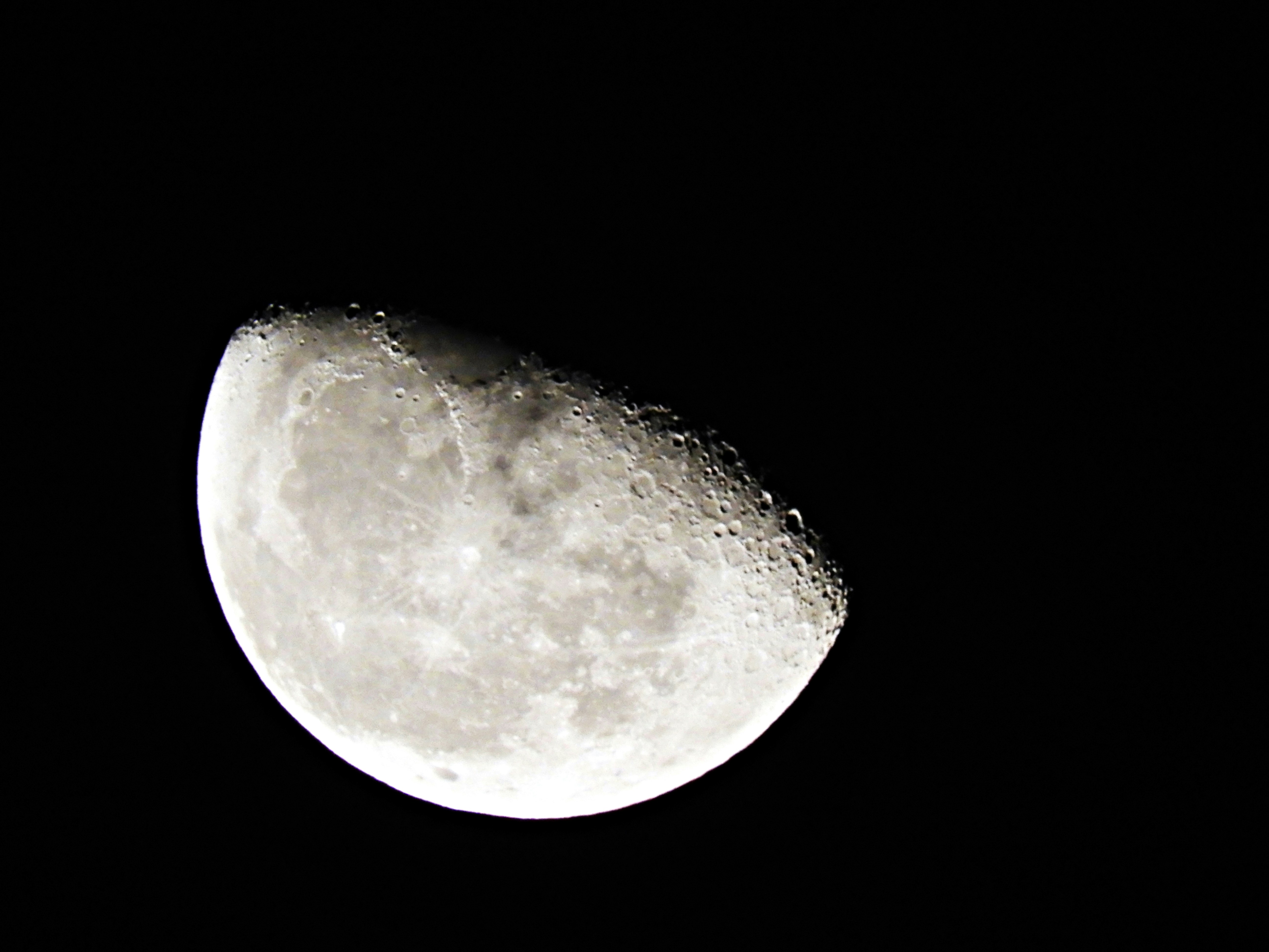 photo-1547045533-87d8a51ad77c?ixlib=rb-1.2.1&ixid=eyJhcHBfaWQiOjEyMDd9&auto=format&fit=crop&w=1334&q=80