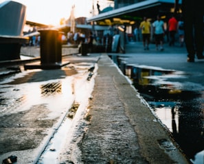 A freshly poured concrete driveway with smooth, wet surface reflecting the morning light