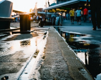 A freshly poured concrete driveway with smooth, wet surface reflecting the morning light
