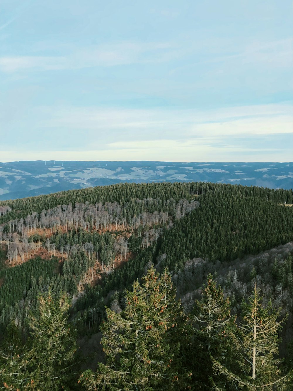 aerial photography of mountain under blue skies