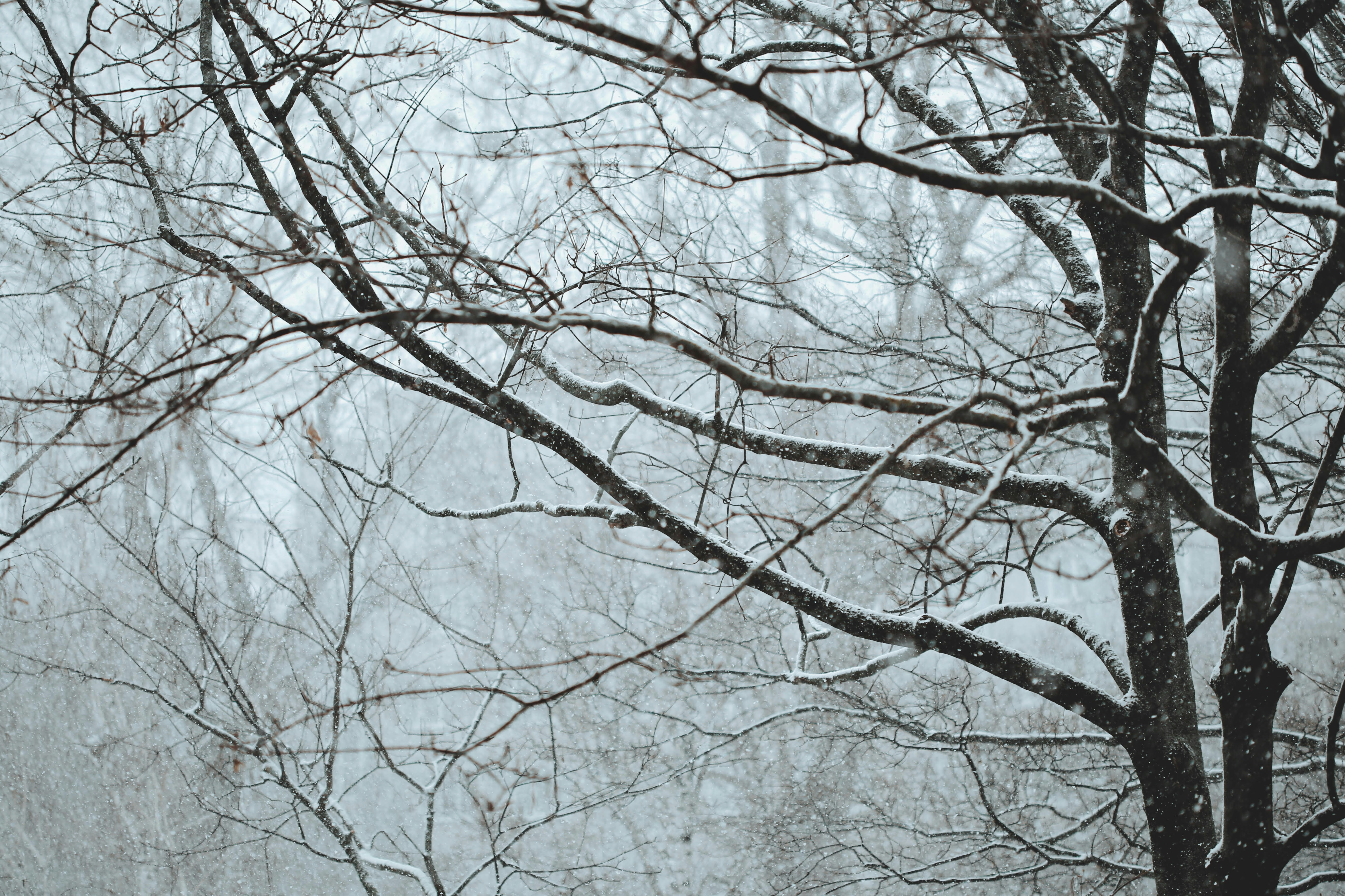 Photo by milada_vigerova