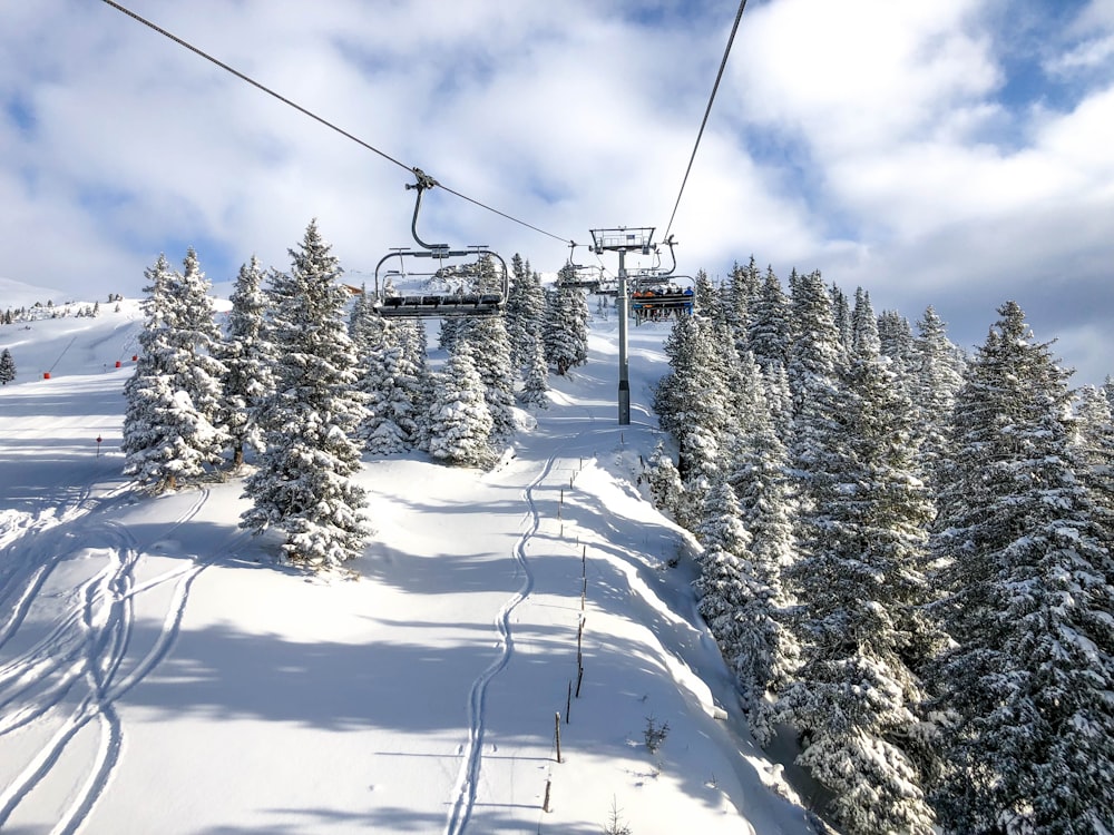 gray cable cars above pine trees during daytime