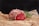 A raw piece of marbled beef is resting on crumpled brown parchment paper. Fresh rosemary sprigs and a few scattered red peppercorns add to the presentation. The meat is vibrant red with intricate patterns of white fat.