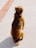 brown short-coated dog on white concrete road