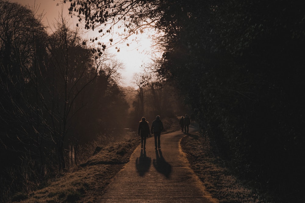 two people walking along pathway