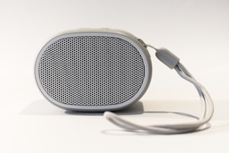 oval grey portable speaker on white surface