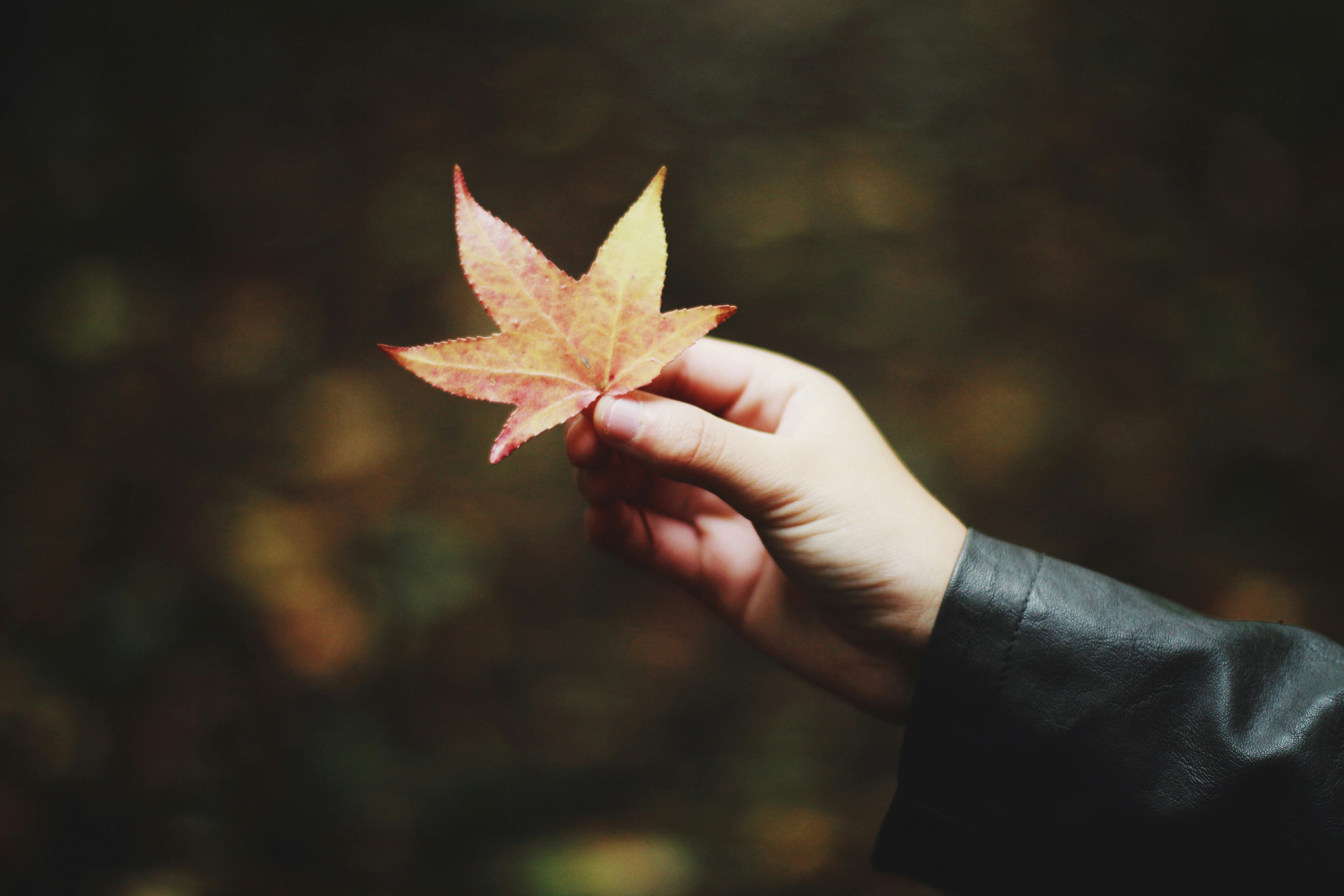 Photo by meghanschiereck