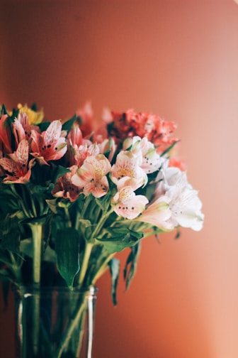 A vase filled with Alstroemeria flowers, displaying shades of pink, white, and red petals with green leaves, set against a soft, warm, peach-colored background.