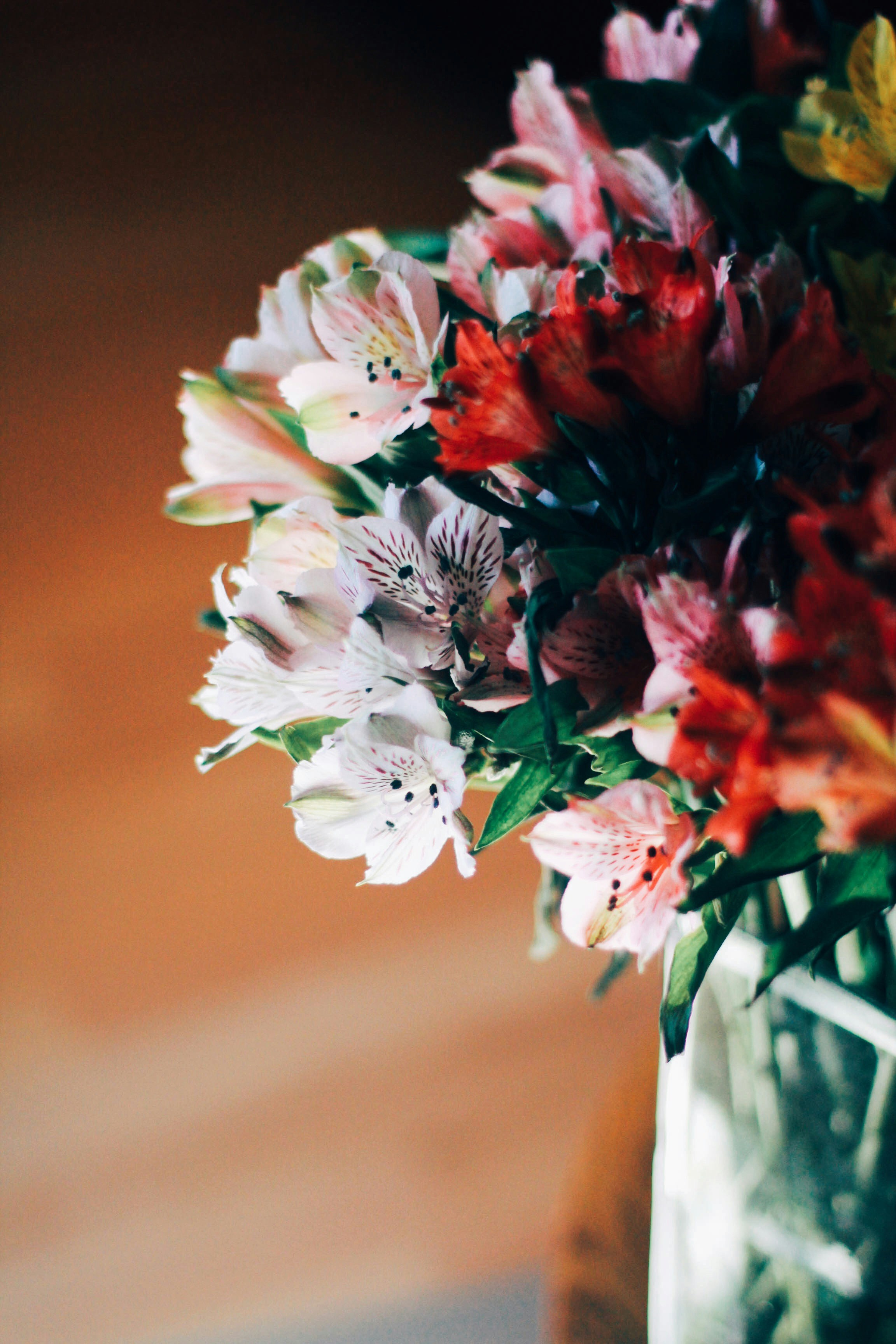 Photo by meghanschiereck