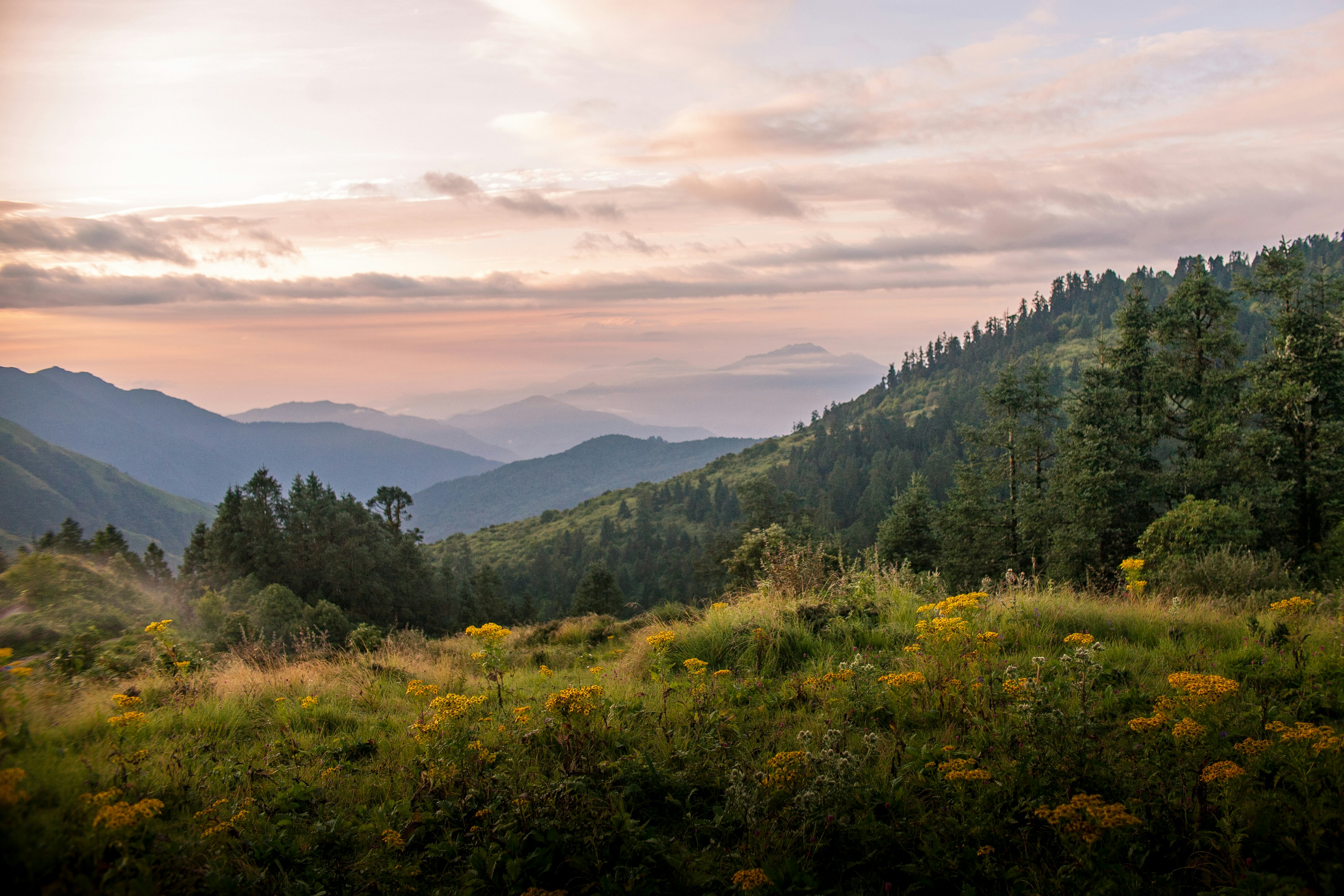 Photo by devonhwilson