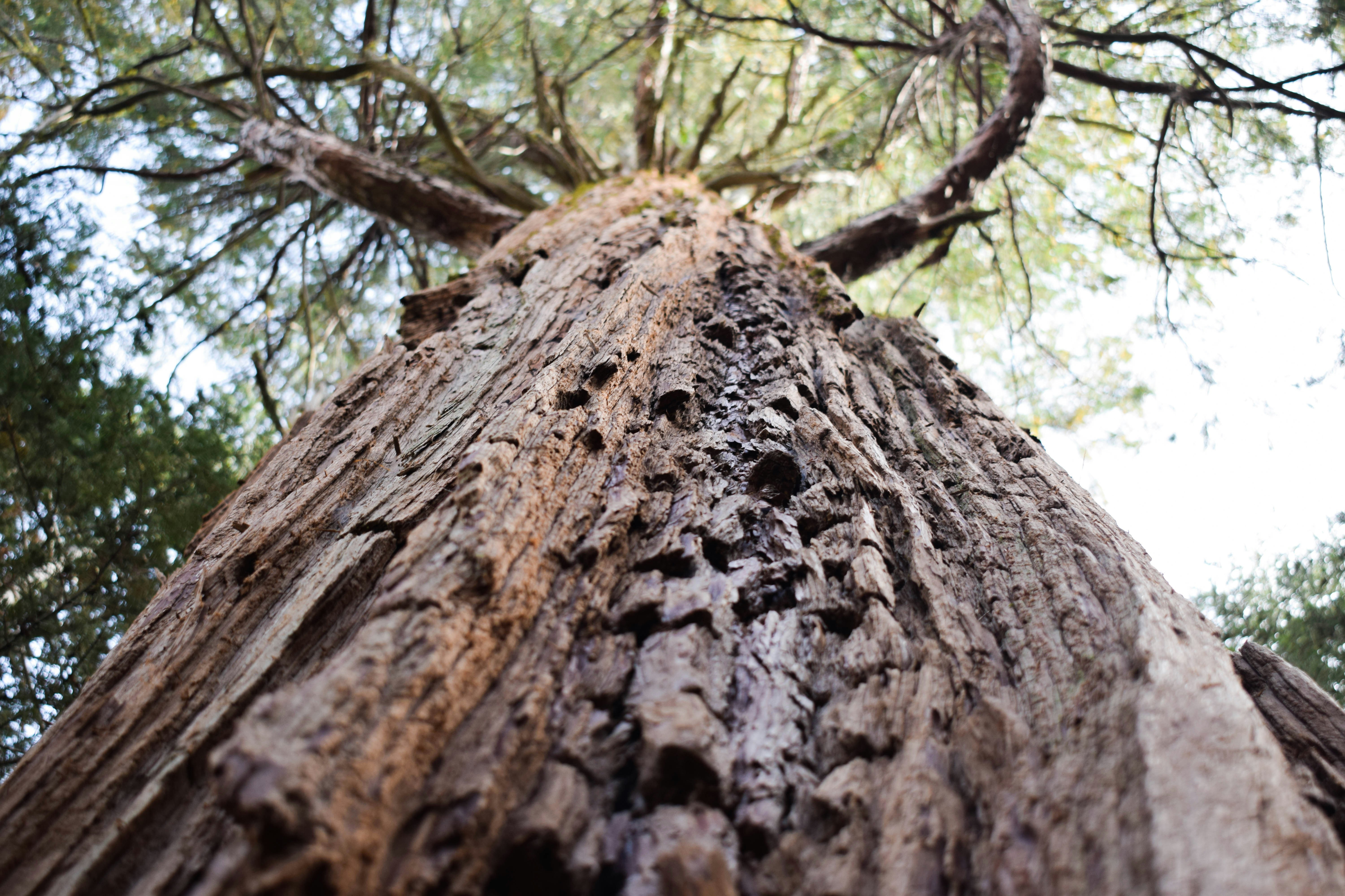 Photo by nw_prspctv8