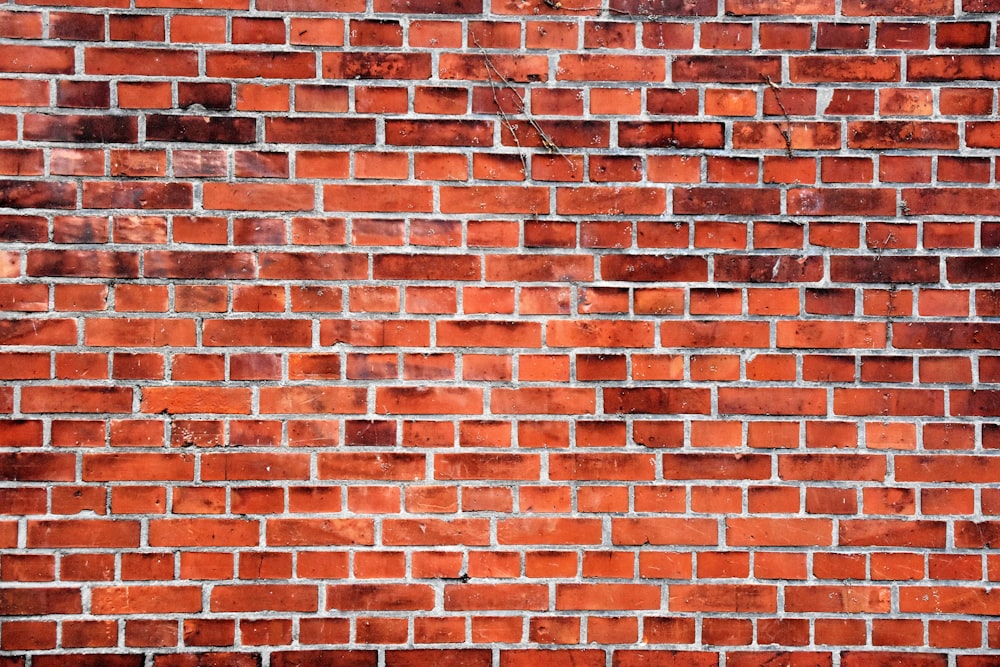 500+ Brick Wall Pictures & Images [HD] | Download Free Photos on Unsplash