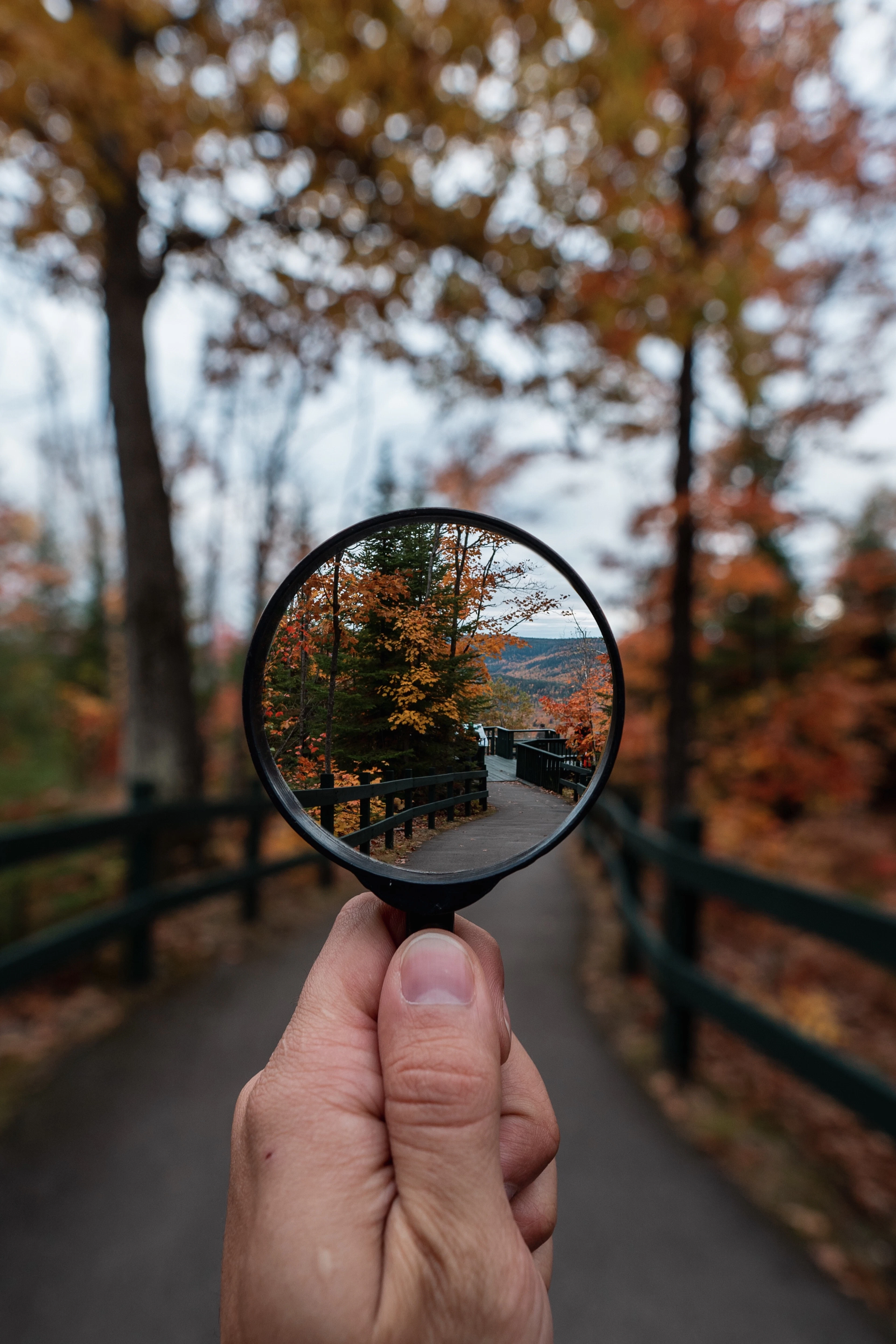Hand holding a magnifying glass up to an autumn path