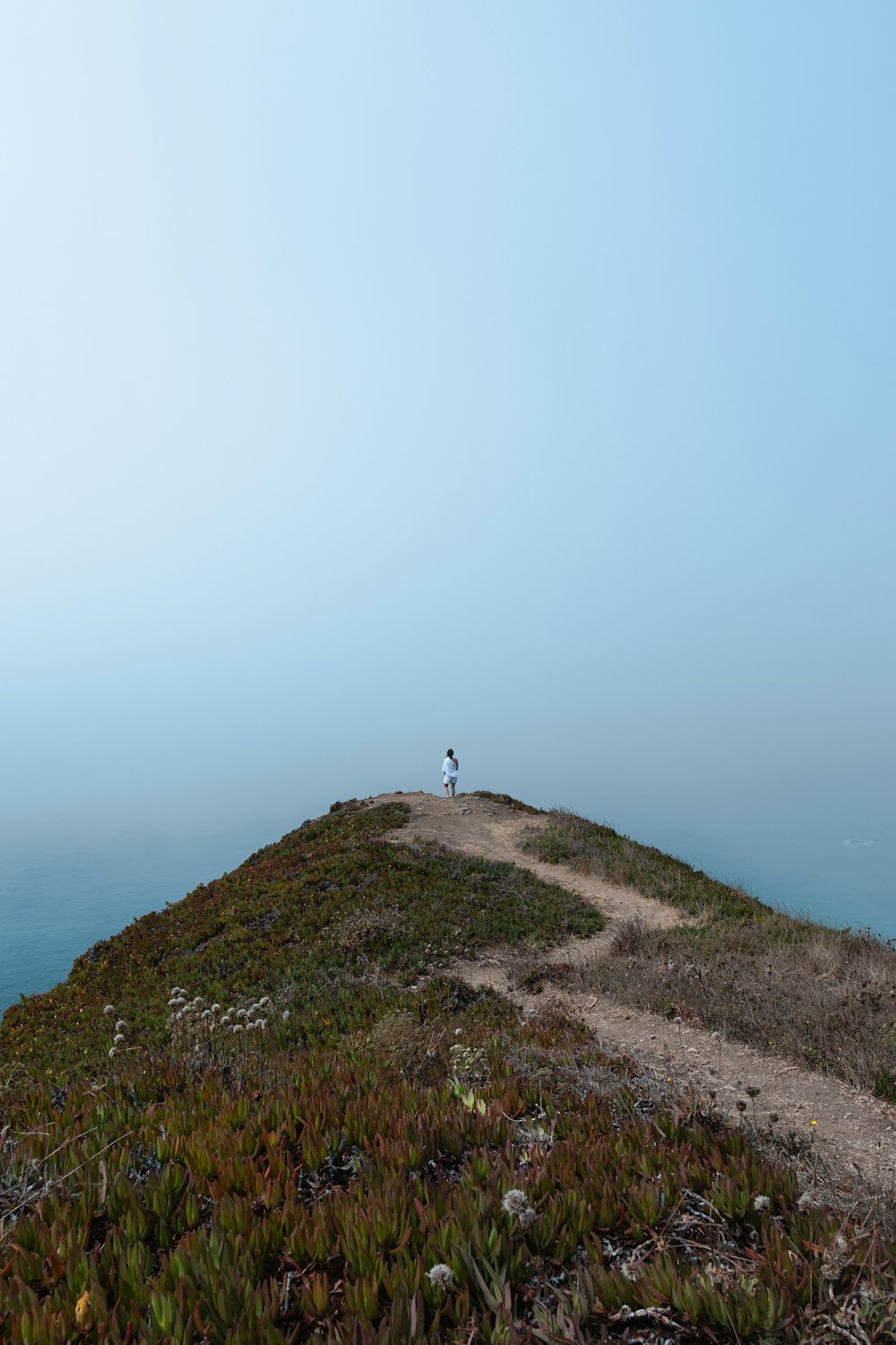 person standing on mountain