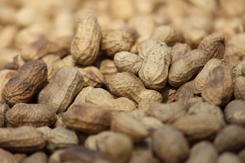 A close-up of fresh groundnuts in their shells.