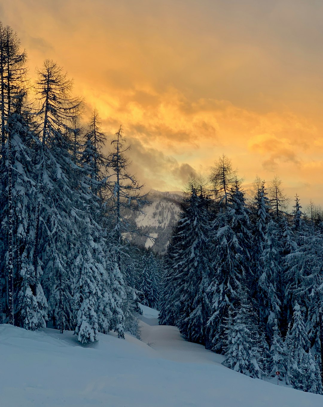 travelers stories about Natural landscape in PlanaistraÃŸe 71, Austria