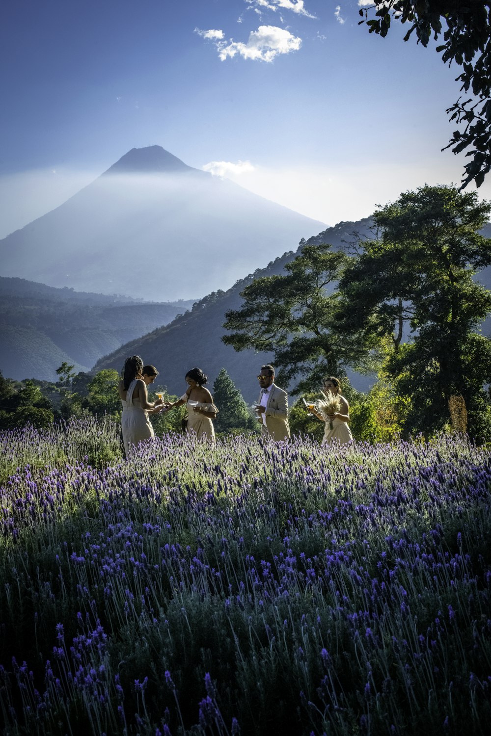 wedding at purple flower field