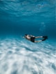 man swimming in water
