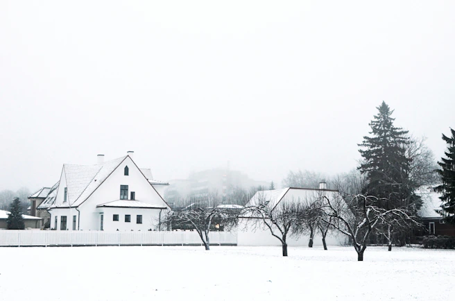 snow covered houses