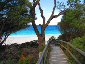 A serene wooden pathway leads to a sandy beach with clear blue water. A large tree frames the view, surrounded by lush green foliage. The ocean is vibrant, with shades of blue and hints of tranquility.