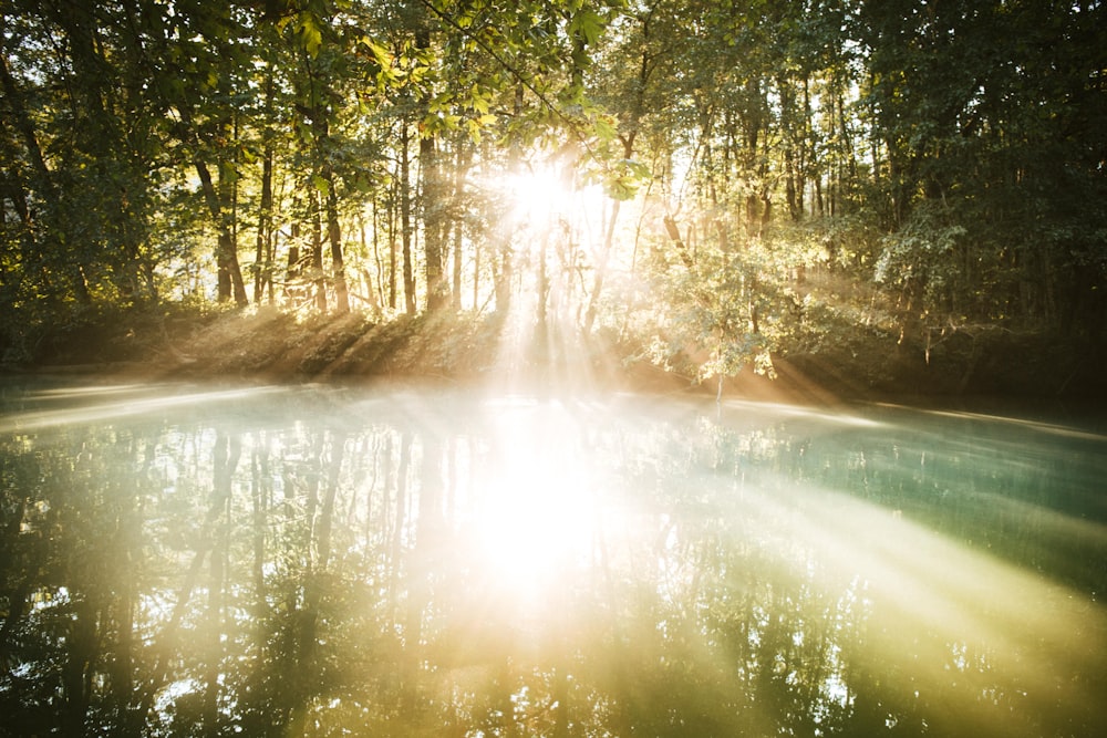 Luz solar al cuerpo de agua