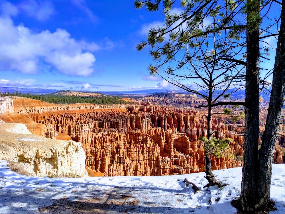 Bryce Canyon