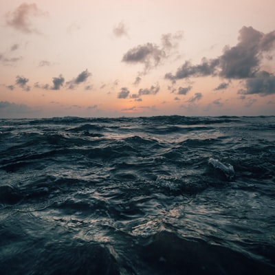 tp.web.random_picture