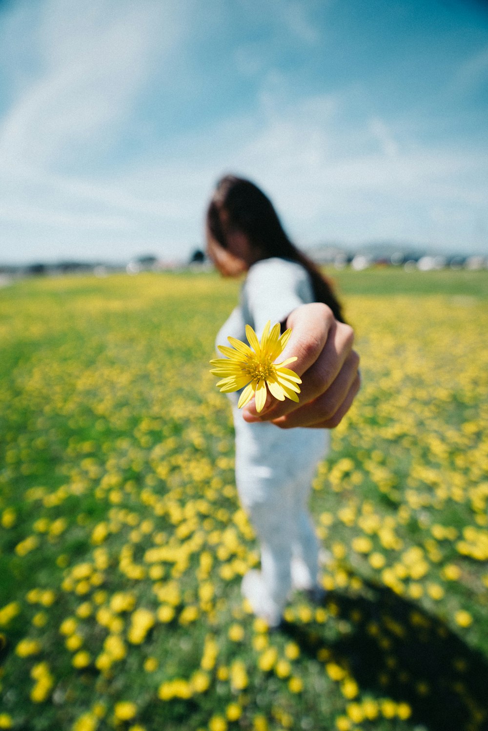 woman standing on yellow flower field