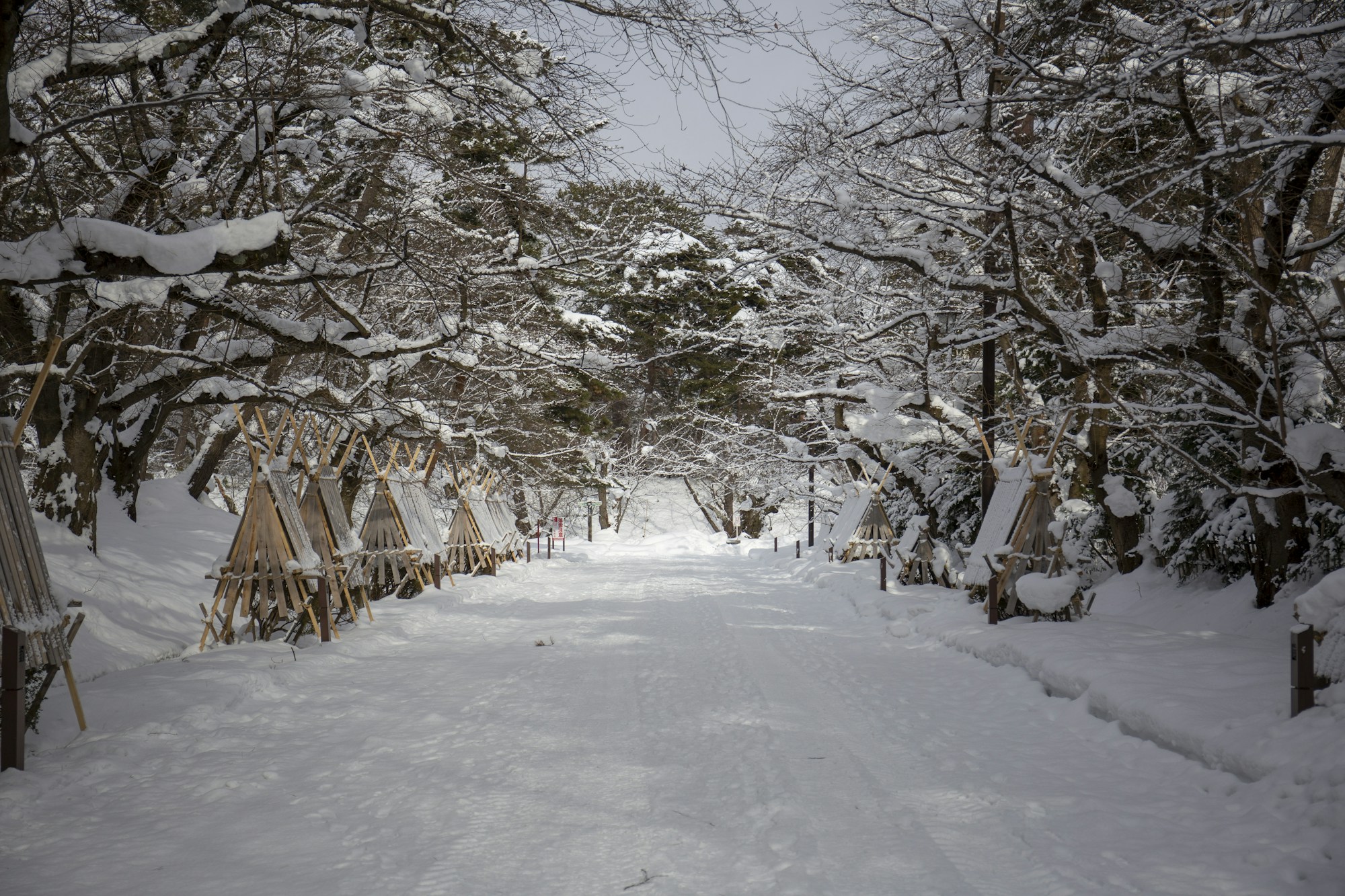 Exploring Aomori's Traditional Cuisine and Dining Scene