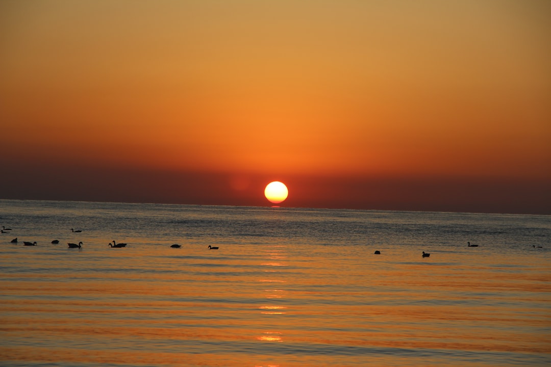 calm ocean during golden hour