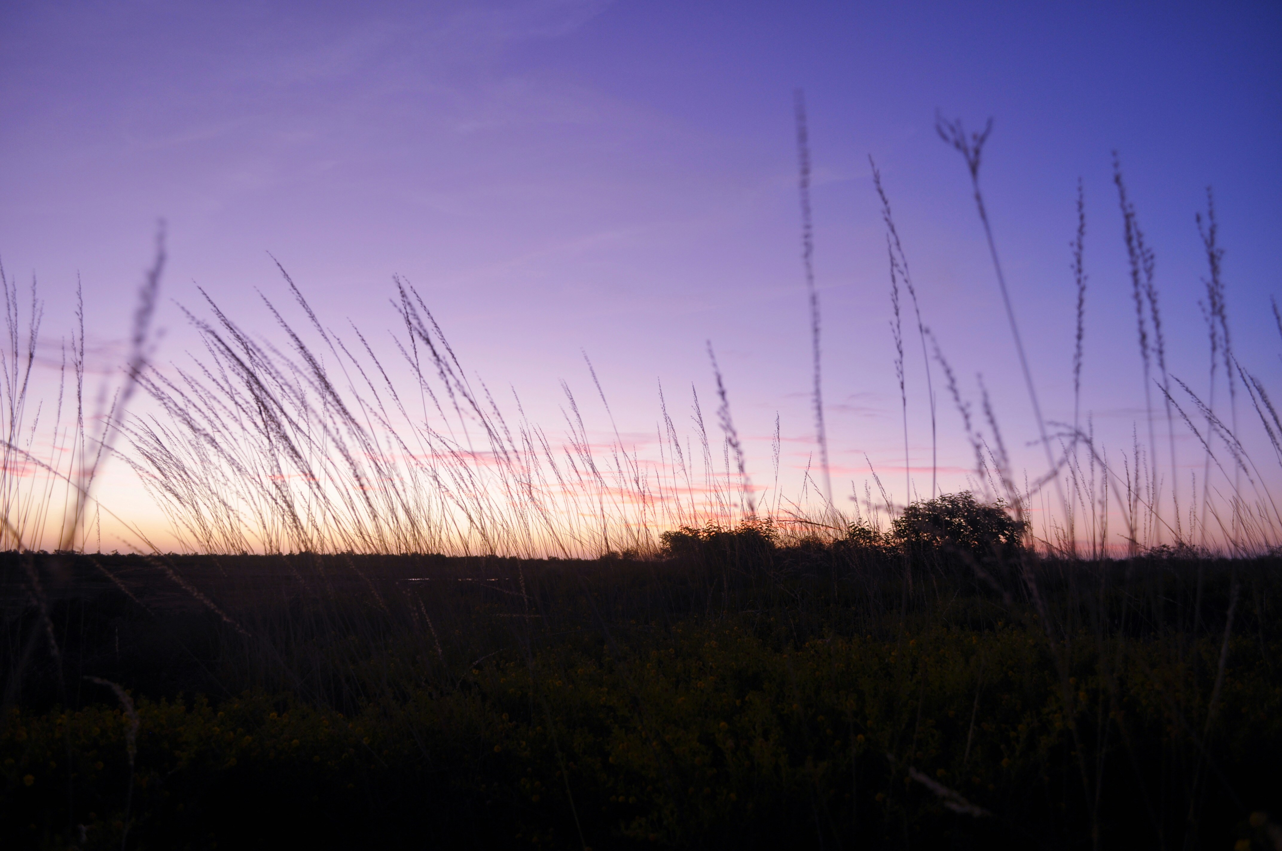 Photo by jessicadonnelly