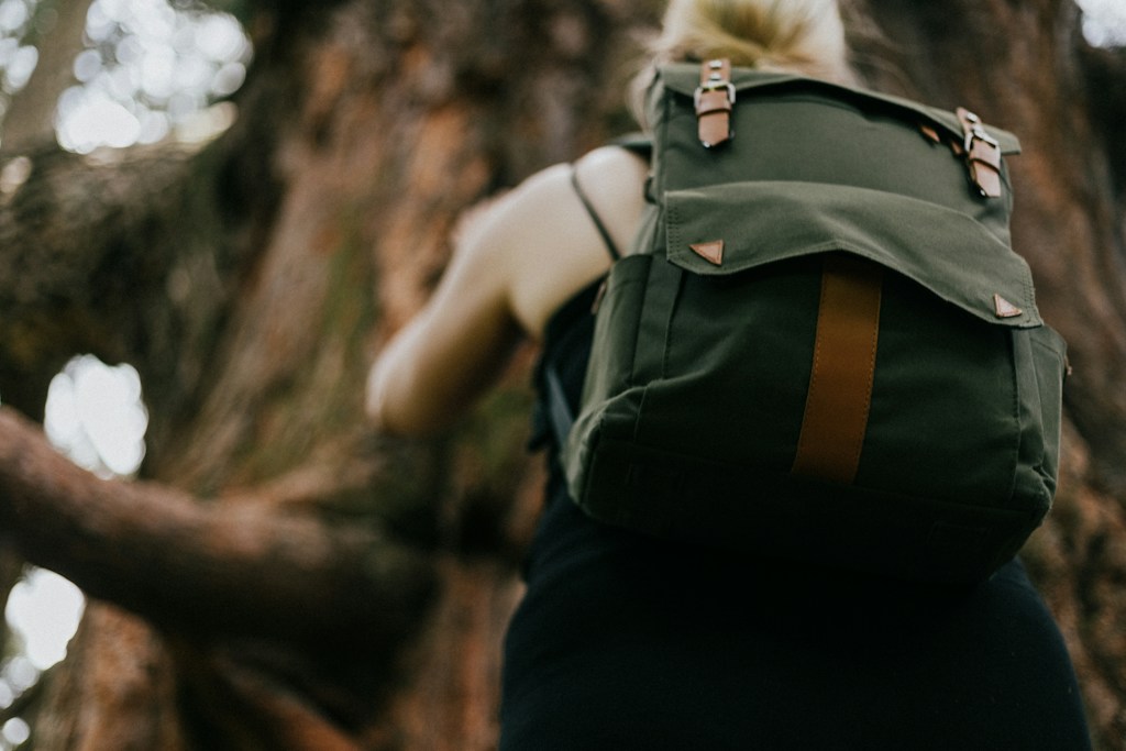 Craftsman Canvas Pack